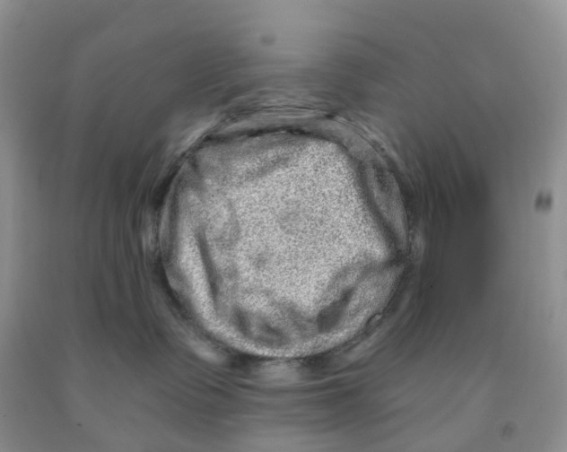 X0000091310335200709071119