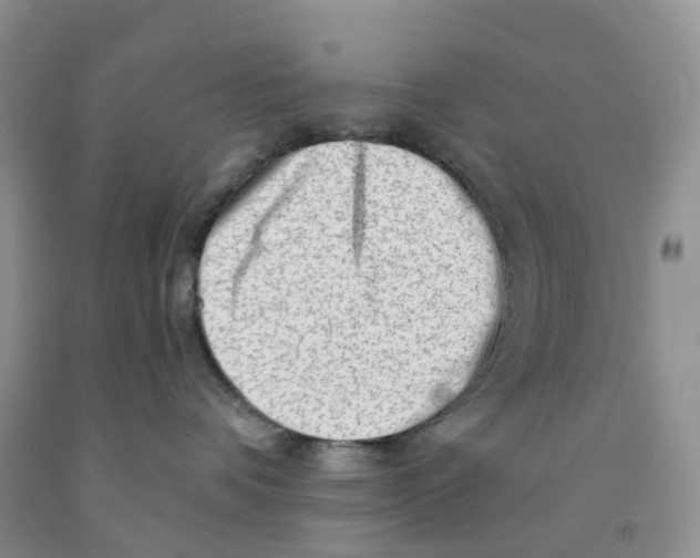 X0000091310336200709071119