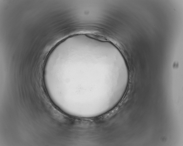 X0000091310337200709071118