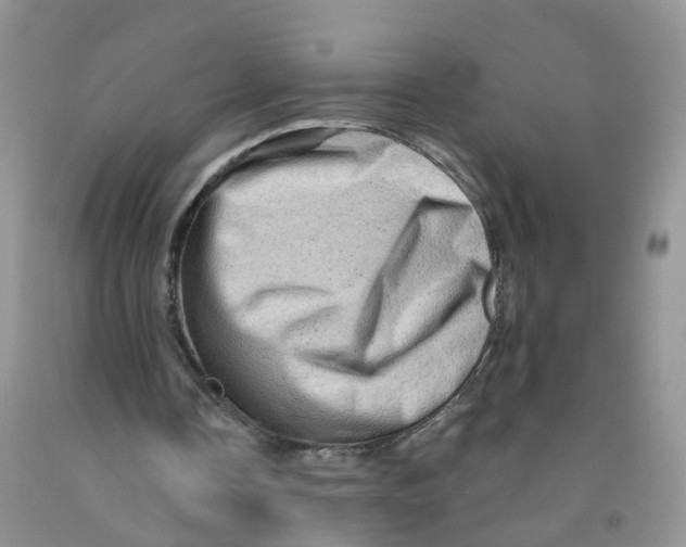 X0000091310338200709071118