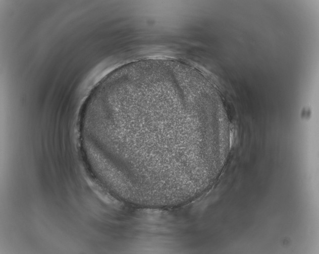 X0000091310339200709071118
