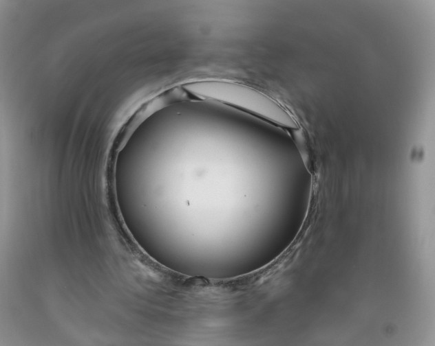X0000091310340200709071118