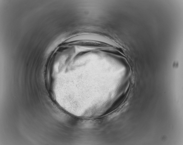 X0000091310341200709071118