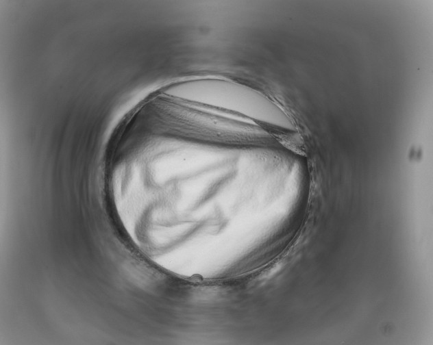 X0000091310342200709071118