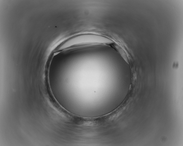X0000091310344200709071118