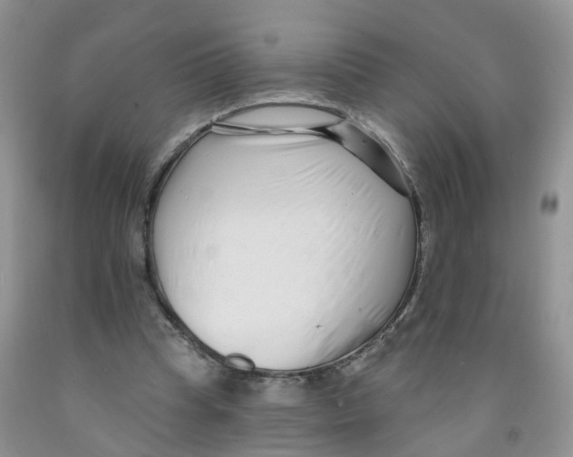 X0000091310345200709071118