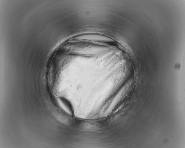 X0000091310346200709071118