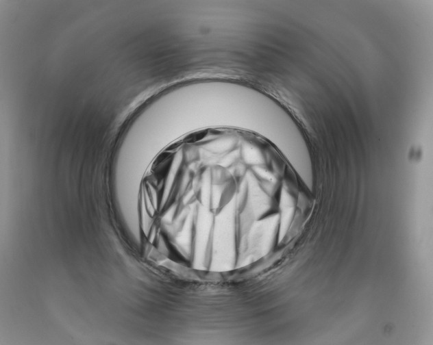 X0000091310348200709071118
