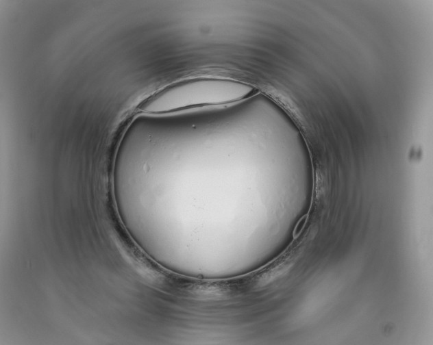 X0000091310349200709071118