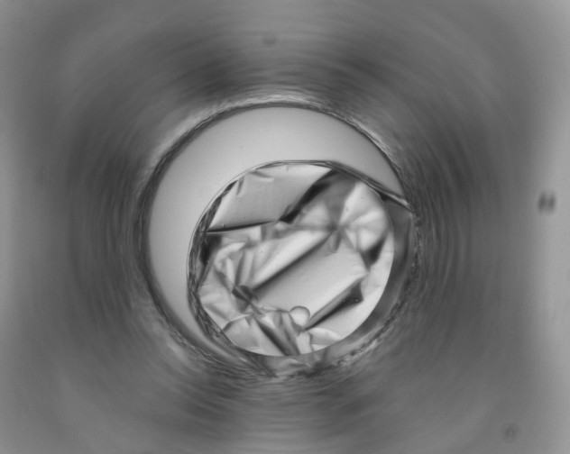 X0000091310350200709071118