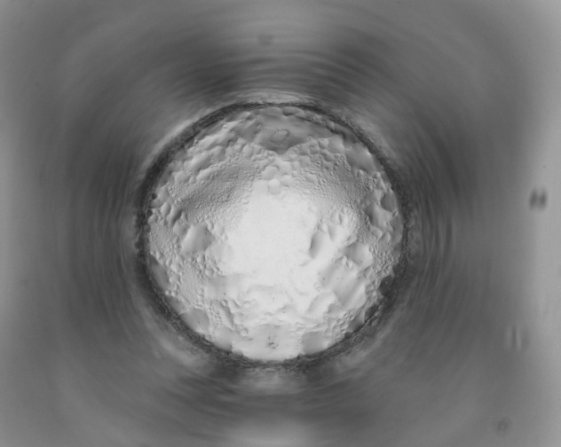X0000091310351200709071118
