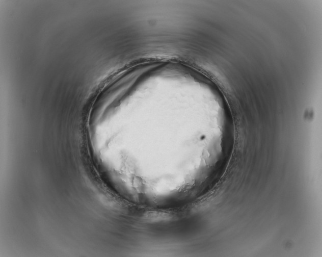 X0000091310354200709071118