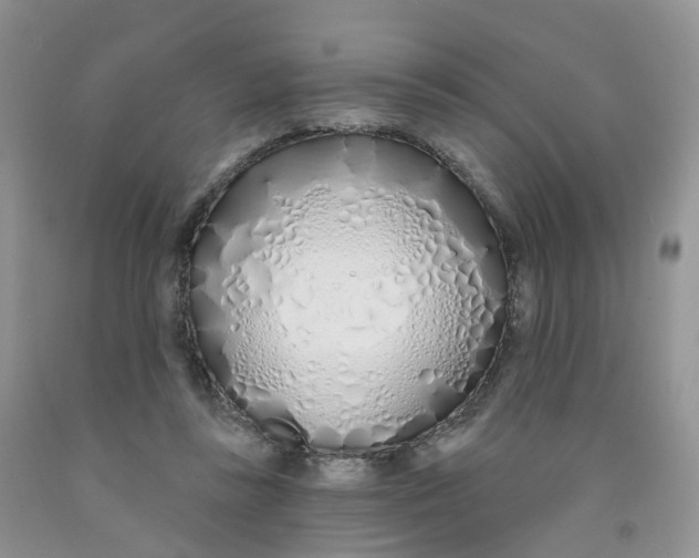 X0000091310355200709071118