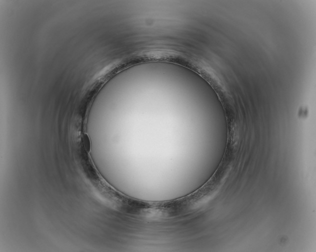 X0000091310356200709071118