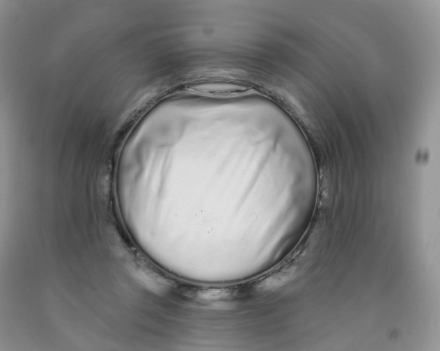 X0000091310357200709071118