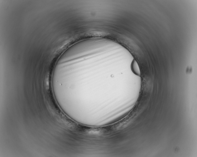 X0000091310358200709071118