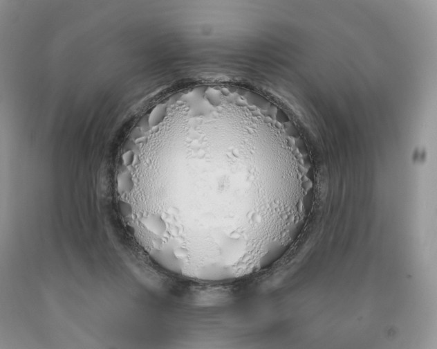 X0000091310359200709071118