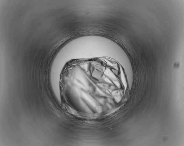 X0000091310360200709071118