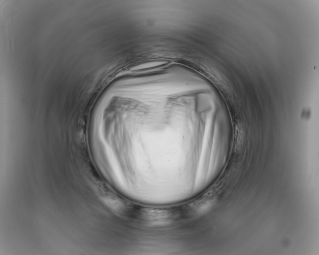 X0000091310361200709071118