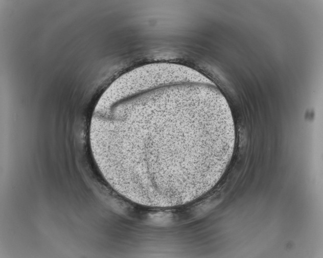 X0000091310362200709071118
