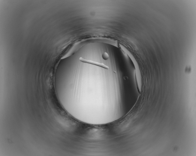 X0000091310364200709071118