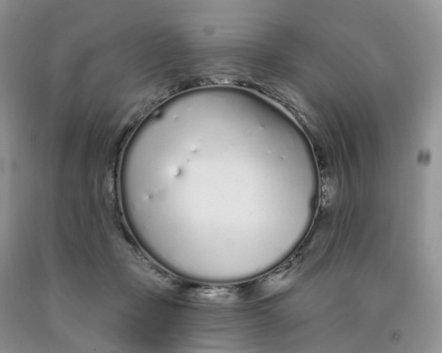 X0000091310365200709071118