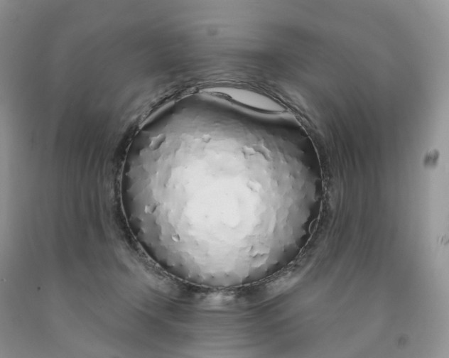 X0000091310366200709071118
