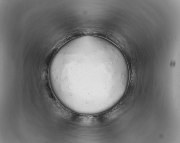 X0000091310367200709071118
