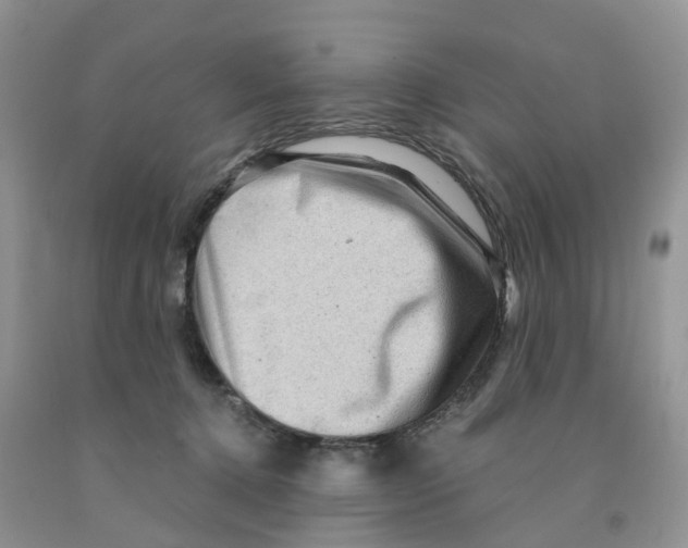 X0000091310368200709071118