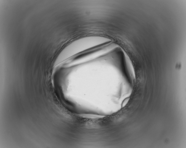 X0000091310369200709071118