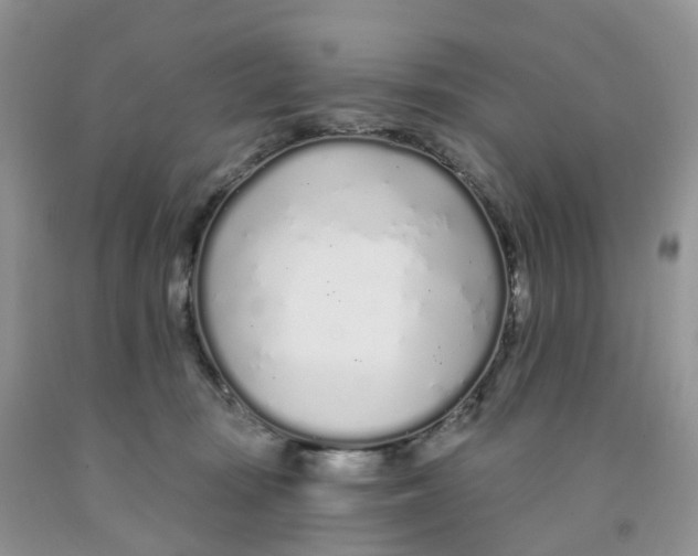 X0000091310371200709071119