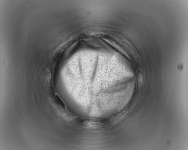 X0000091310372200709071119