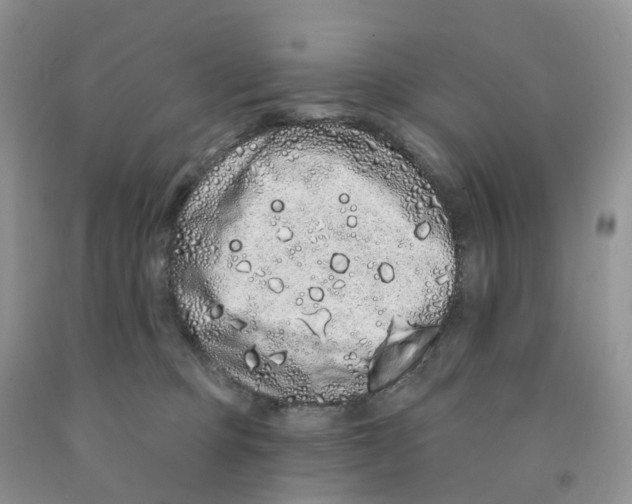 X0000091310373200709071119