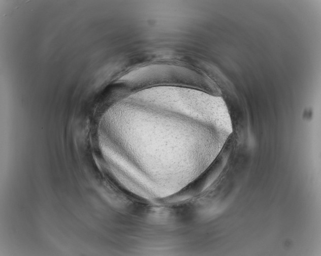 X0000091310376200709071119