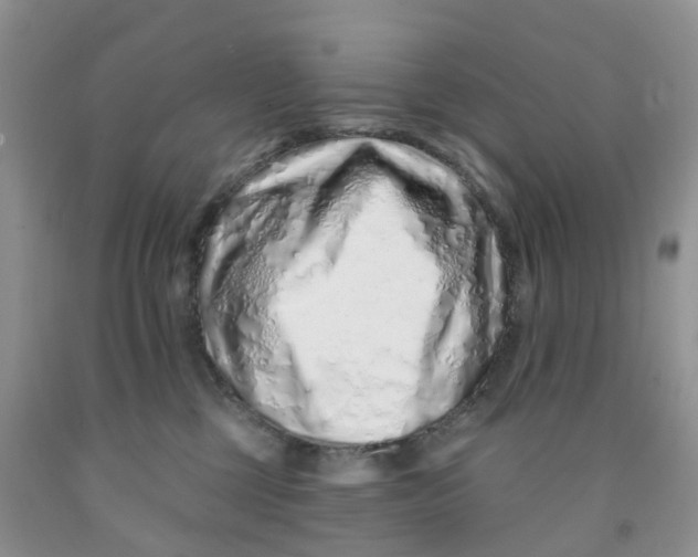 X0000091310377200709071119