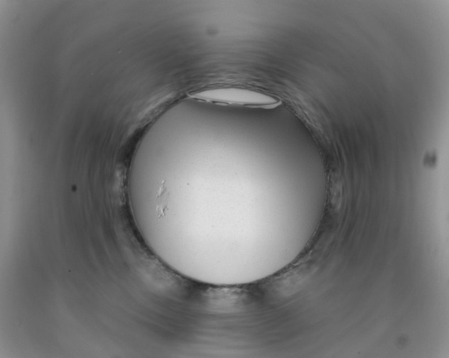 X0000091310378200709071119