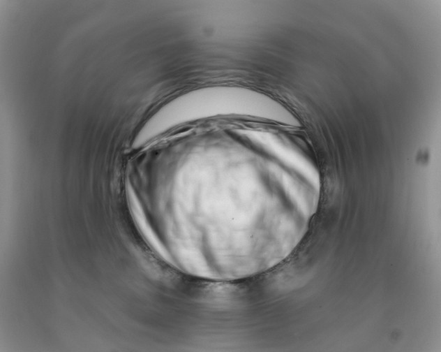 X0000091310379200709071119