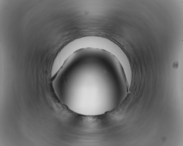 X0000091310380200709071119