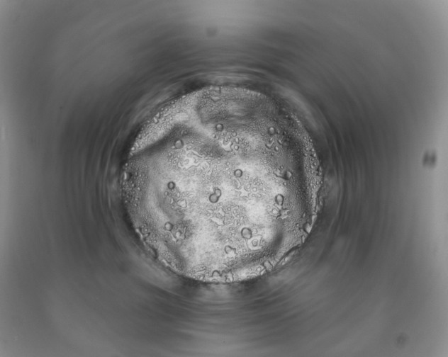 X0000091310381200709071119