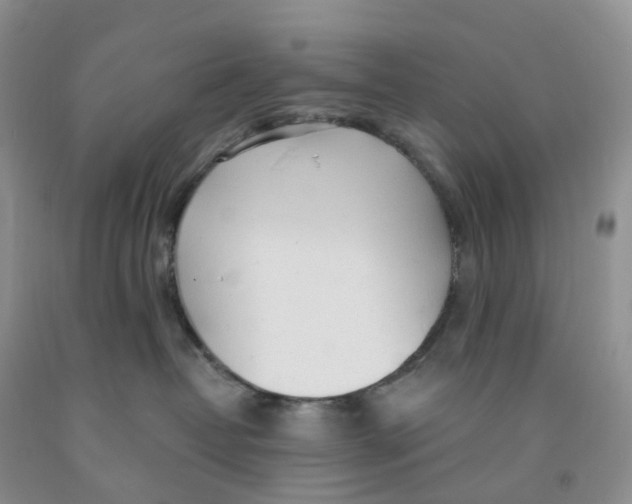 X0000091310382200709071119