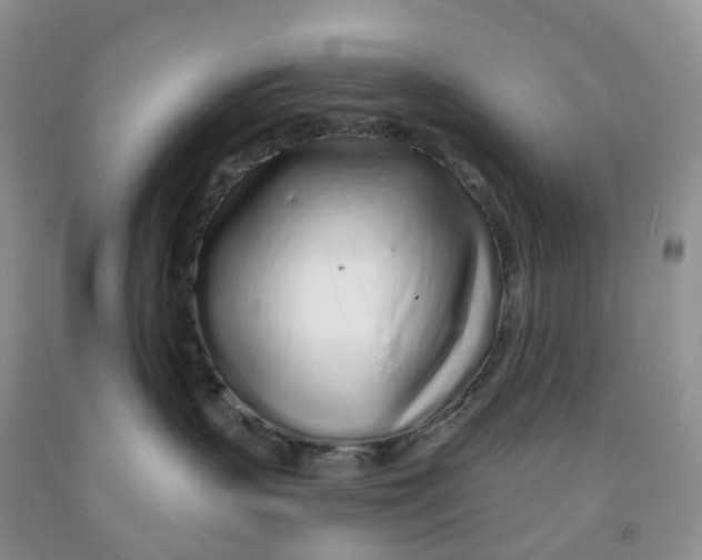 X0000091310383200709071119