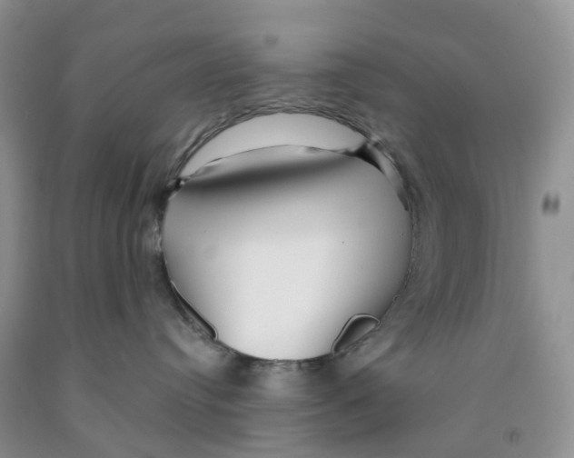 X0000091310384200709071119