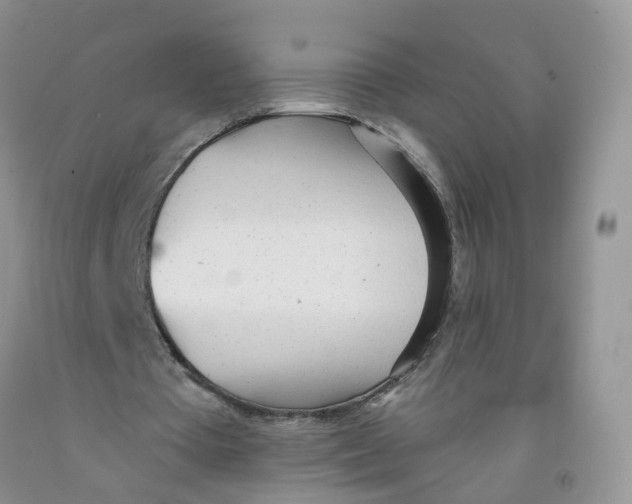 X0000091310385200709071118