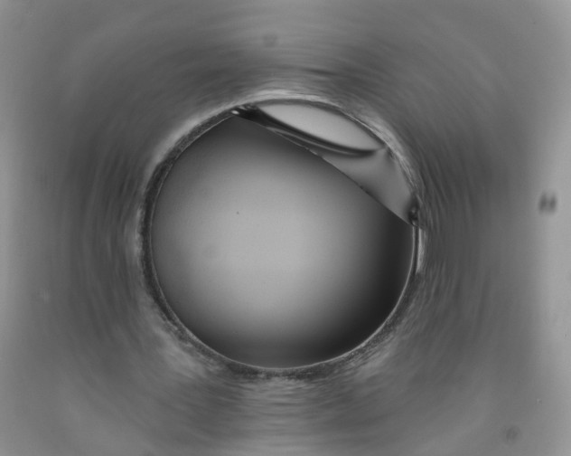 X0000091310387200709071118
