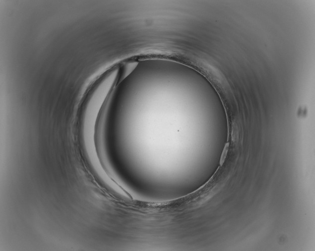 X0000091310388200709071118