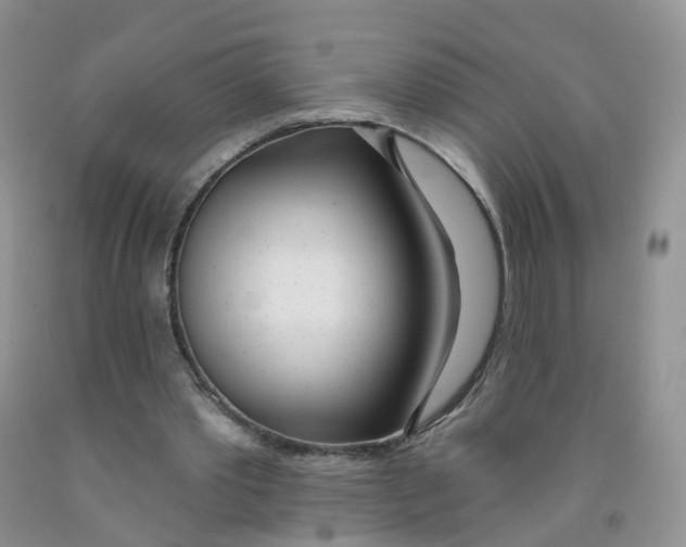 X0000091310389200709071118