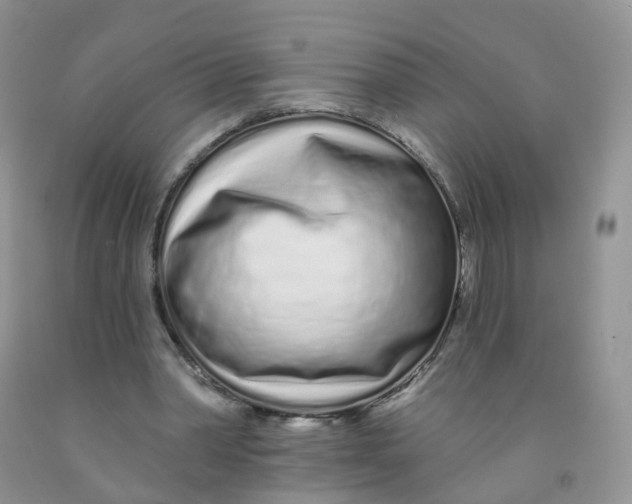 X0000091310390200709071118
