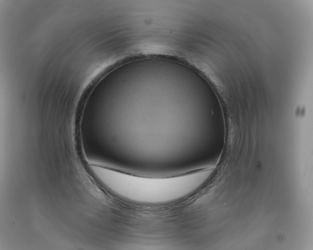 X0000091310391200709071118