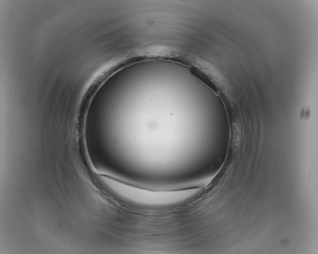 X0000091310392200709071118