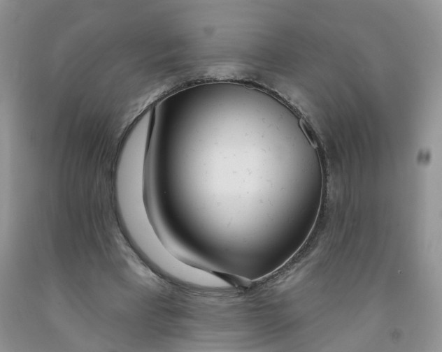 X0000091310393200709071118